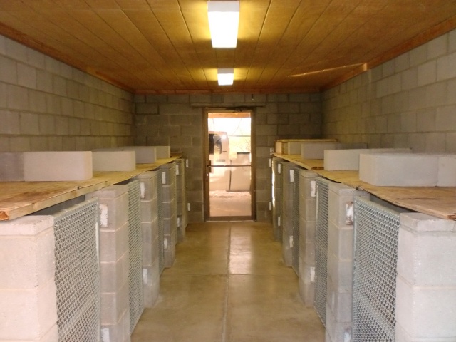 Inside view of our dog kennels